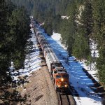 BNSF 3733